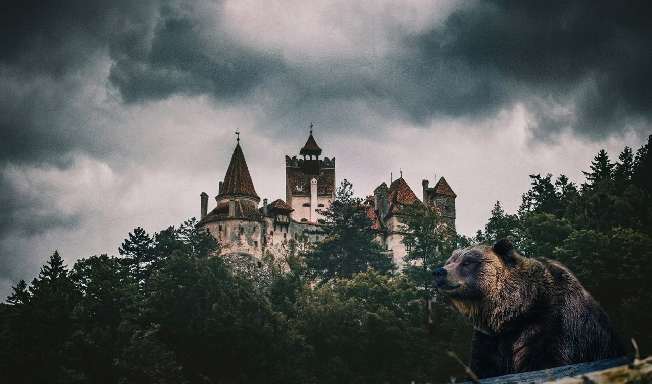 Bear Sanctuary & Bran Castle - Full Day - all entry tickets included photo 1