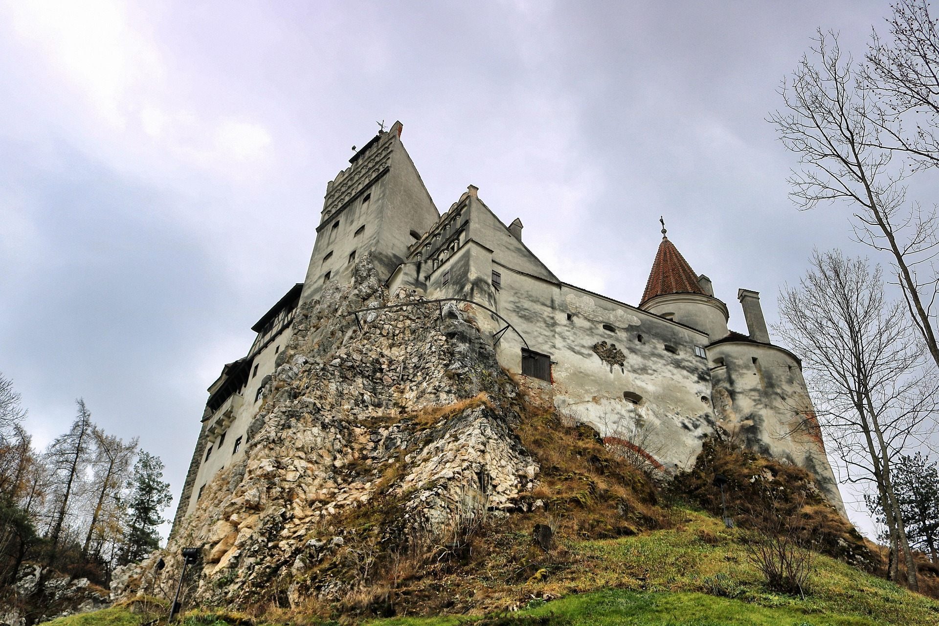 Bear Sanctuary & Bran Castle - Full Day - all entry tickets included photo 4