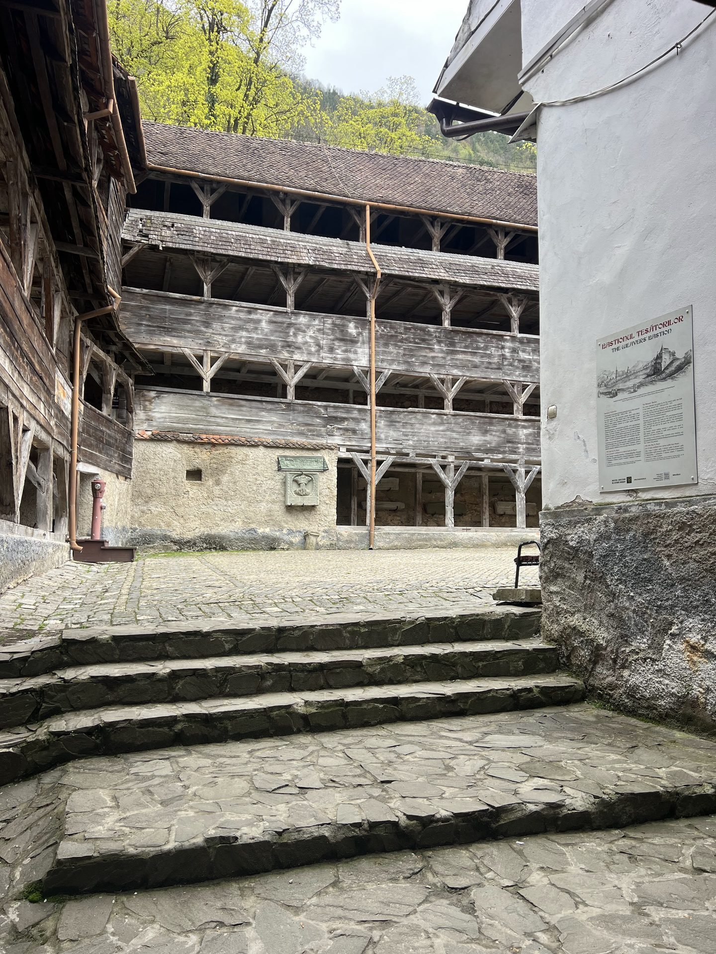 Brașov: Guided walking tour with local stories photo 8