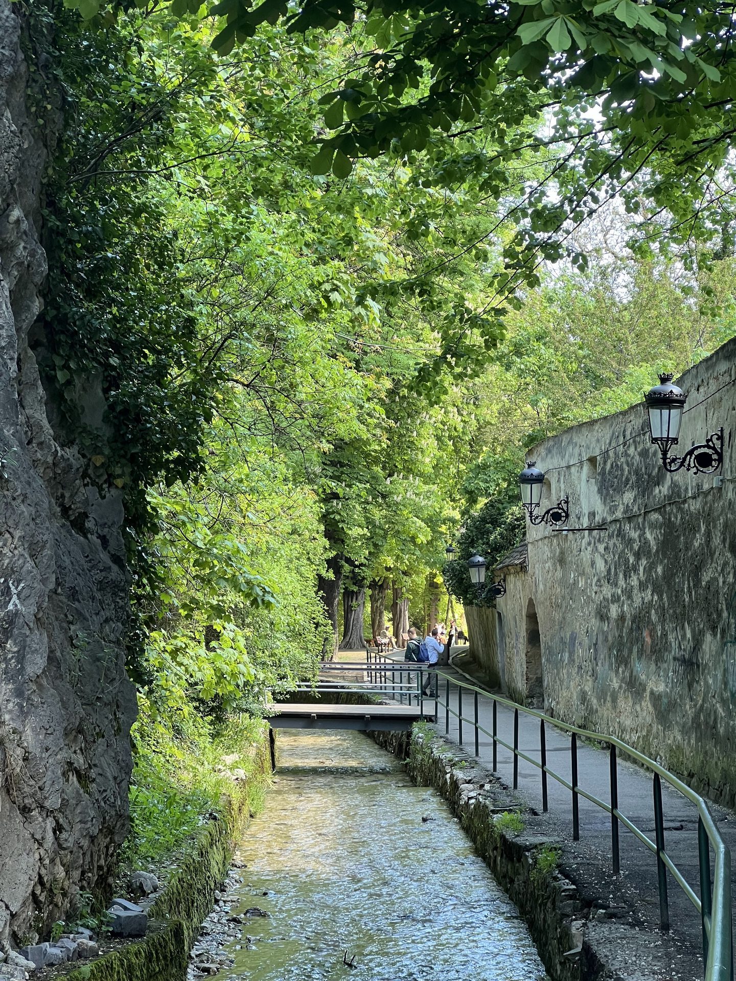 Brașov: Guided walking tour with local stories photo 9