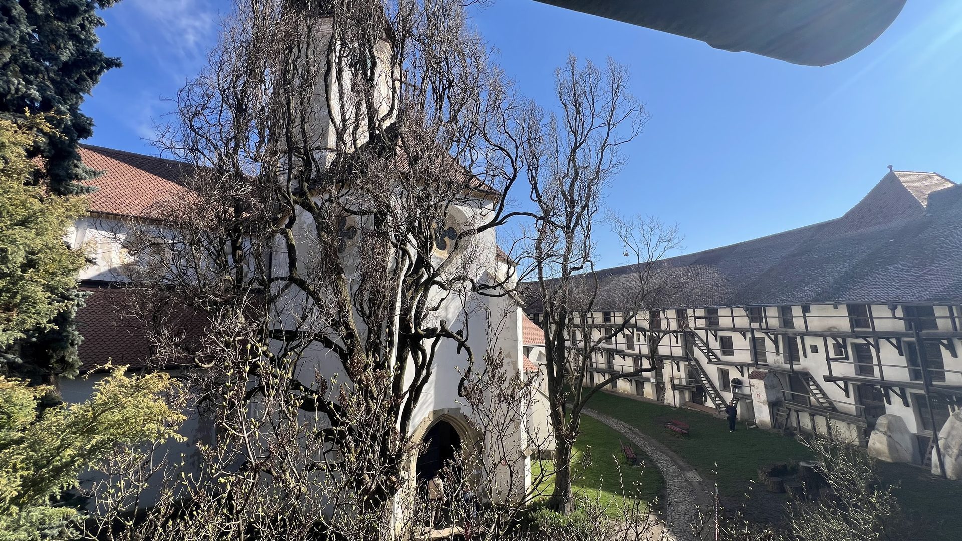 Prejmer fortified church, European Bison & the Screaming Waterfall photo 4